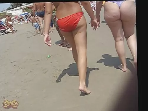 Slidus latina.